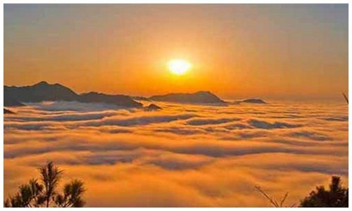 恐龙岛霸王龙破喉猎杀实录：被史前帝王盯上的瞬间，连呼吸都成了奢望